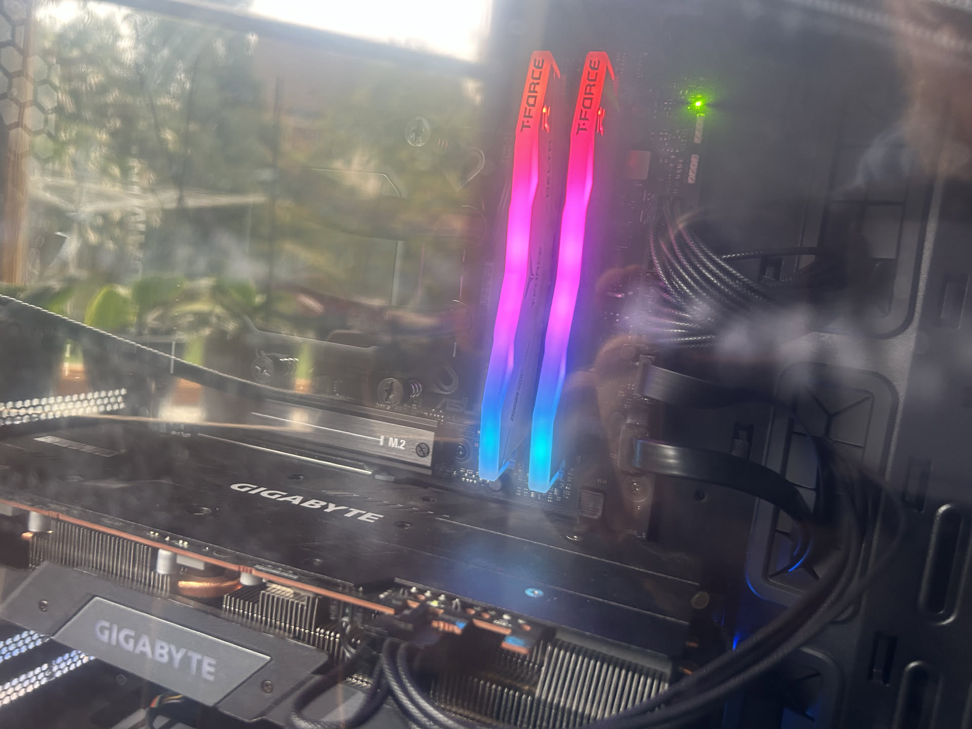 Testing the graphics card